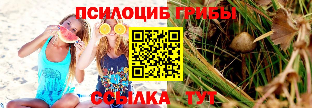 Вышний Волочёк  как найти наркотики  Вход с VPN  Галлюциногенные грибы мухоморы 